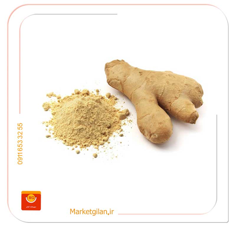 زنجبیل زنجبیل - Image 1