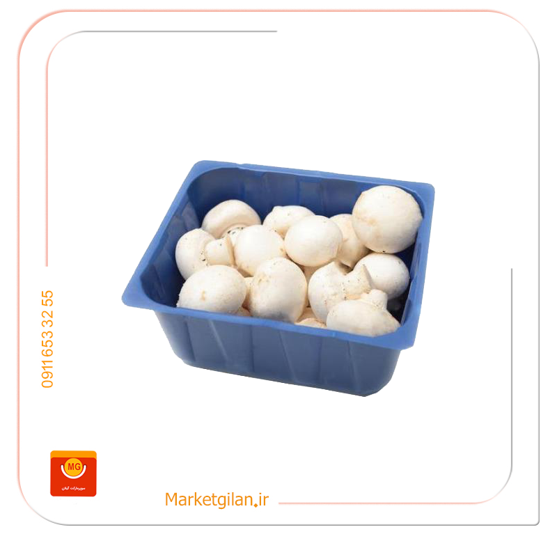 قارچ 200 گرمی قارچ 200گرمی-کد 1265 - Image 1