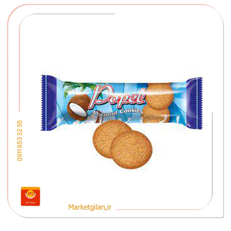 پاپل-نارگیل-شکری-شیرین-عسل پاپل نارگیل شکری شیرین عسل 80گرمی-کد 67 - Image 1