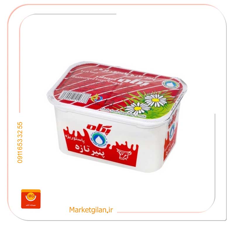 پنیر-سفید-پگاه-400گرمی پنیر سفید پگاه 400گرمی-کد 344 - Image 1